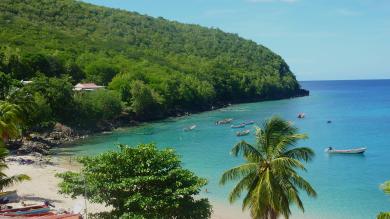 Anse Dufour, Martinique